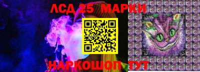 скорость Берёзовский