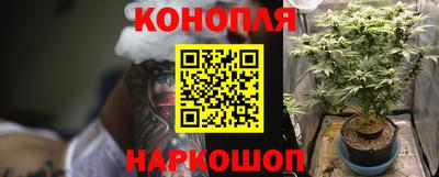 гашик Абинск