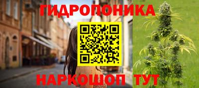 шишки Беслан