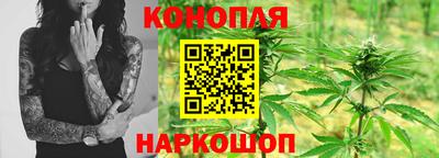 прущие грибы Азнакаево