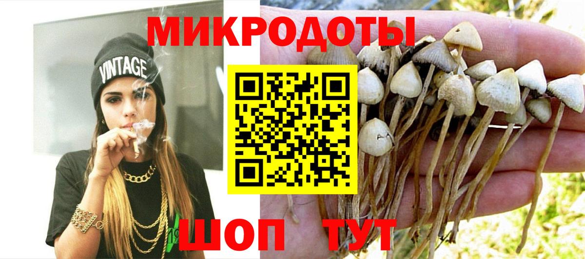 Псилоцибиновые грибы ЛСД Гурьевск